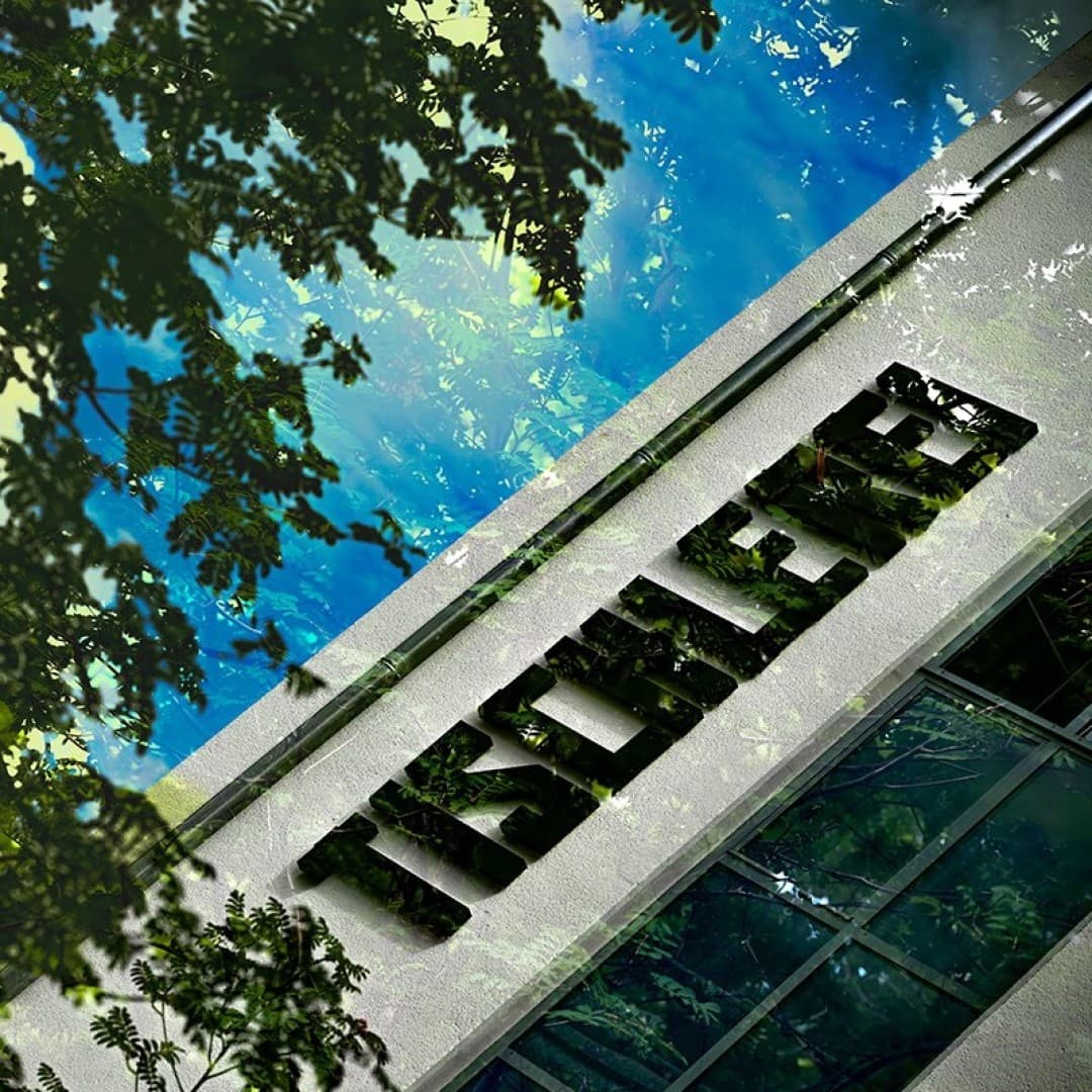 Motiv: Georg Roither