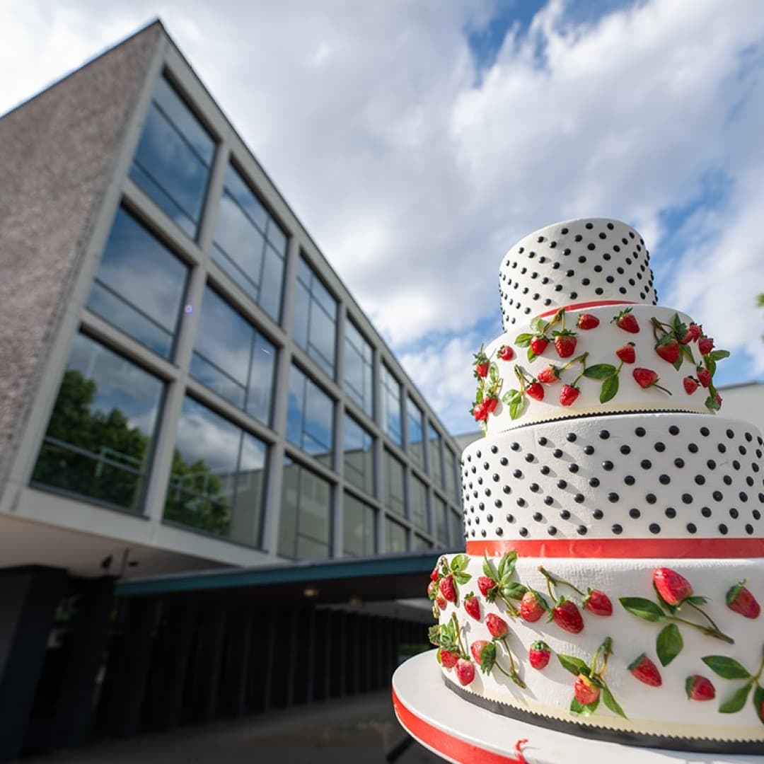 Motiv: Georg Roither