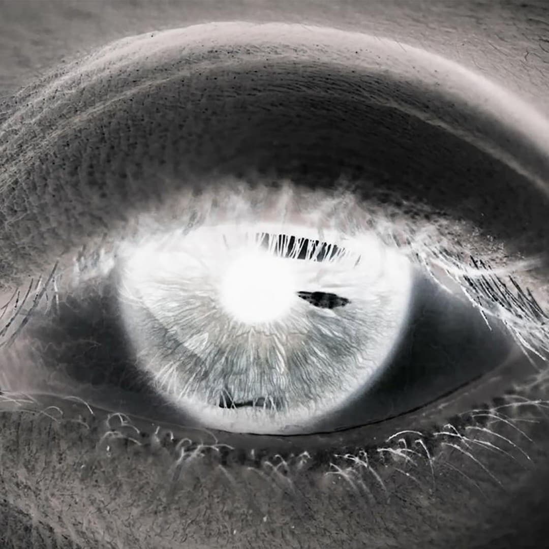 Videostill, Sébastien Dupouey